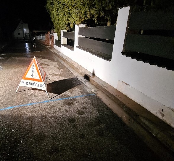 20250312_205602 zugeschnitten.jpg